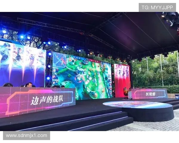 《以Fly 王者为核心探索电竞文化崛起与未来发展趋势》